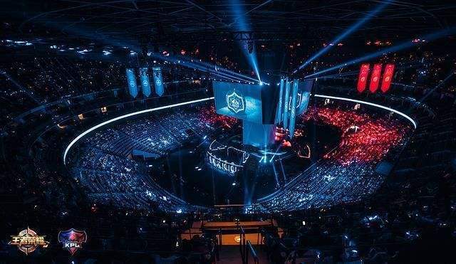 养体系中 养体系中