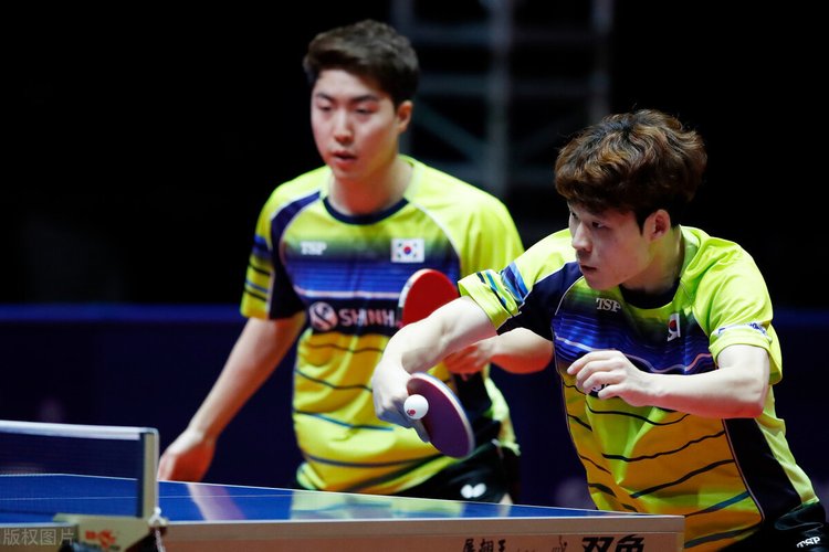 从而引进先 从而引进先